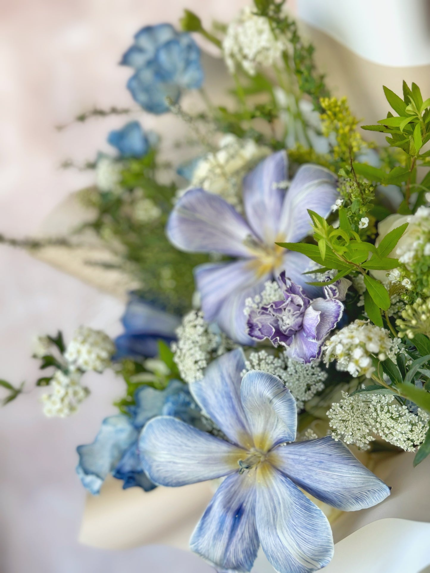 Close-up of stem-dyed tulips in deep violet and midnight blue, highlighting petal textures and dreamy color blends.
深紫与午夜蓝染色郁金香特写,展现花瓣纹理与梦幻色彩过渡