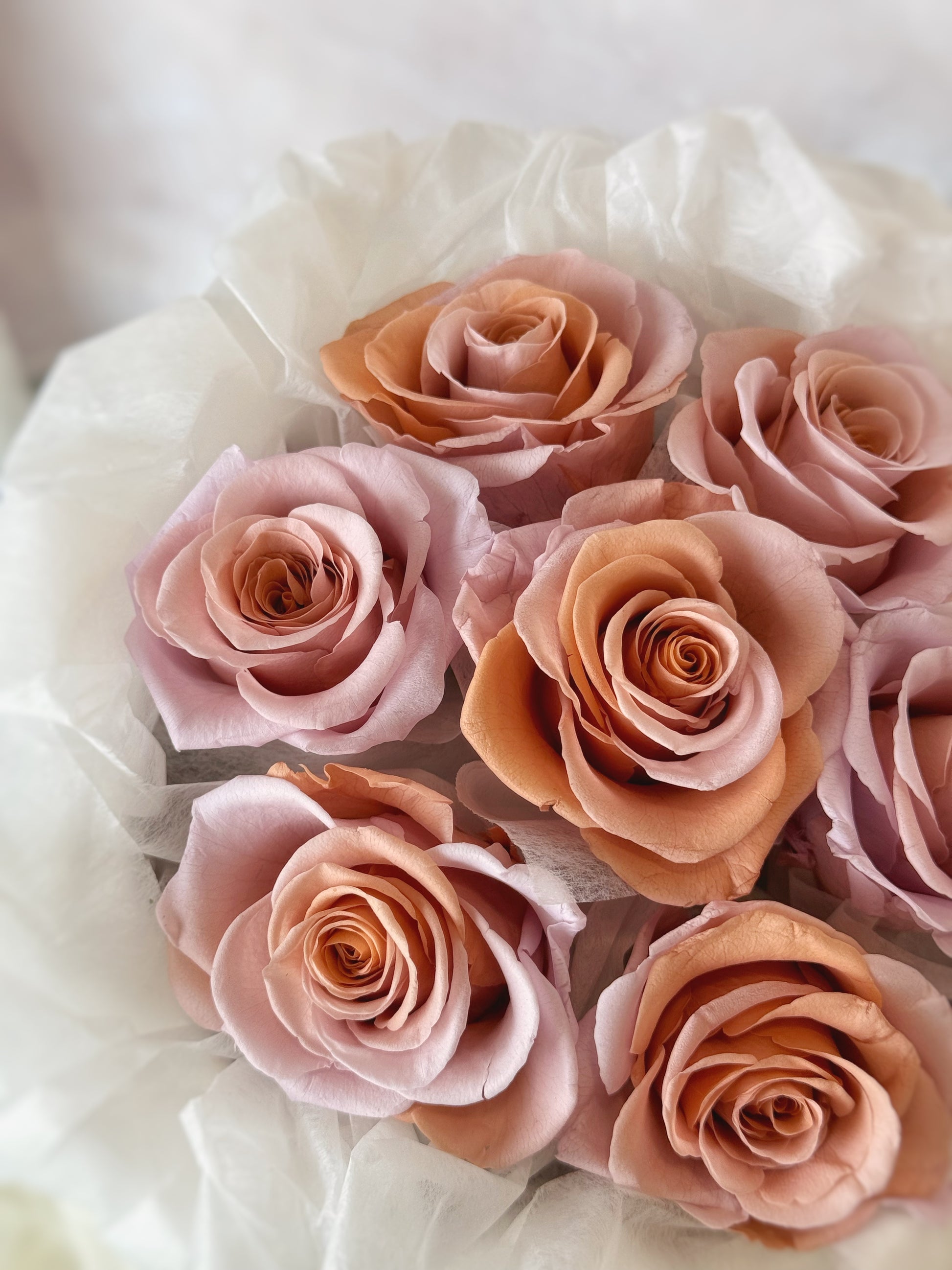 Close up view of a preserved roses bouquet with double tone roses in peach and pink tone