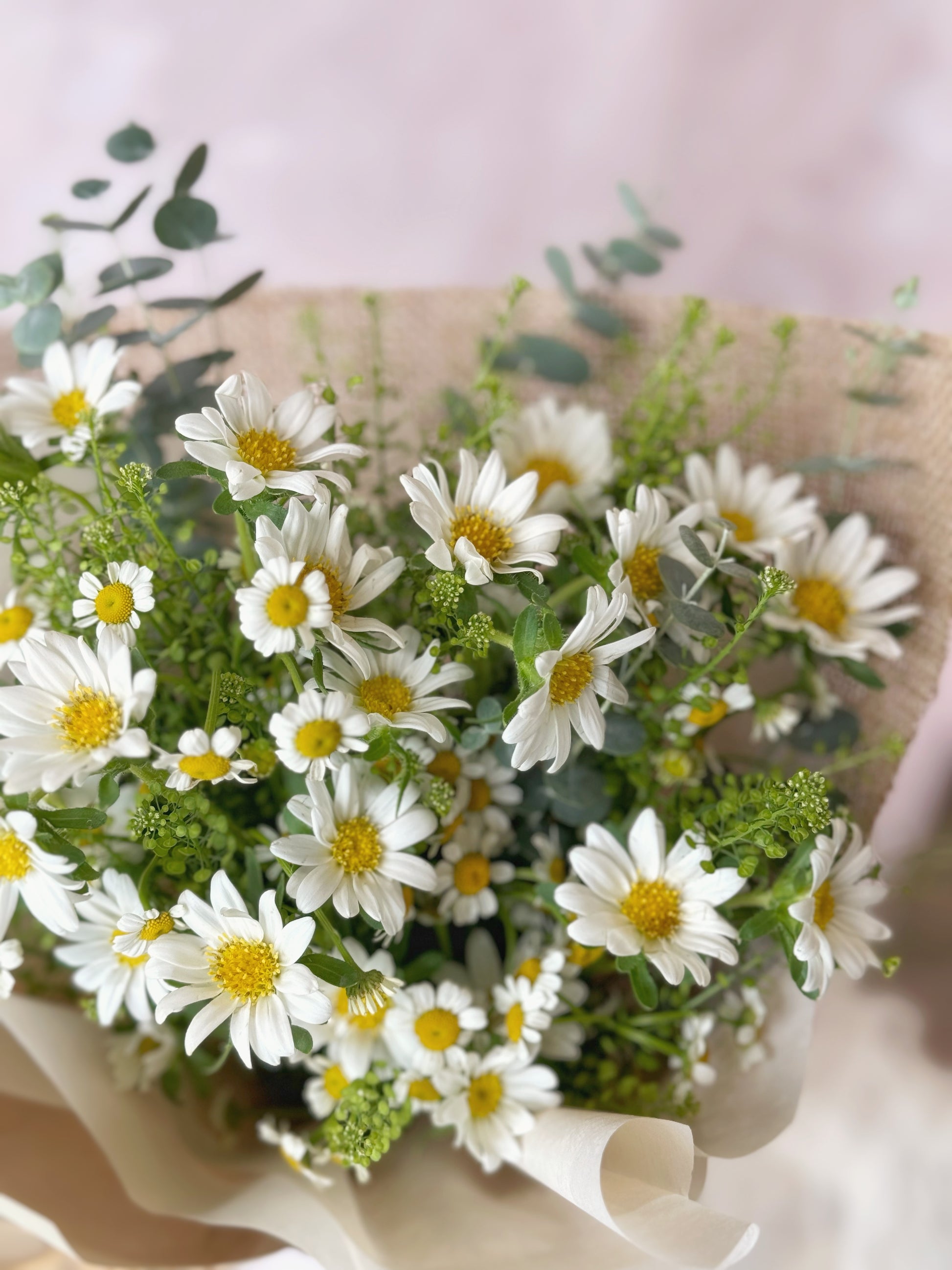 Daisy farm_fresh_flowers_handtied_bouquet_close view daisy and chamomile flowers