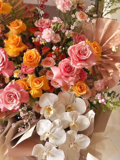 Rose Radiance
