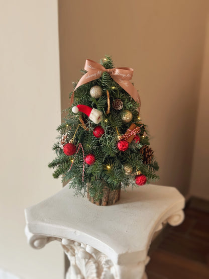 Santa’s Little Tree