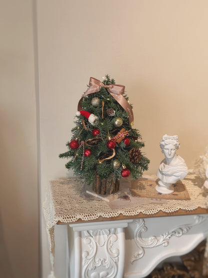 Santa’s Little Tree